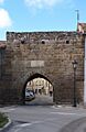 PuertaReinosa