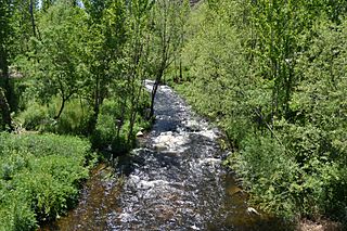 Río Adaja a su paso por Ávila (27507888386).jpg