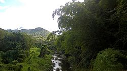Río Arroyata, Comerío, Puerto Rico.jpg