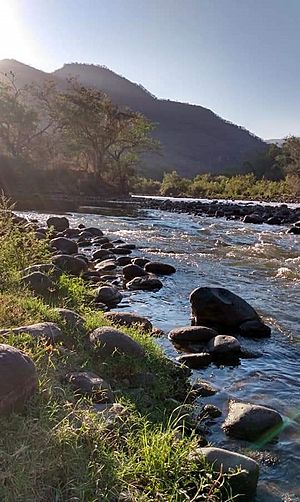 Archivo:Río Verde en la Barranca de Huentitán