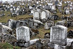 Sarajevo Jevrejsko groblje 6.jpg