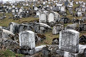 Archivo:Sarajevo Jevrejsko groblje 6