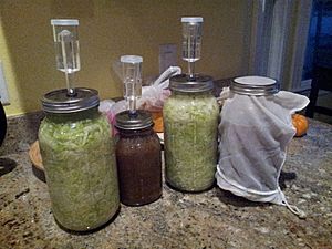 Archivo:Sauerkraut fermenting