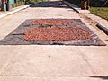 Secando Cacao en la Calle Principal de Rio Grande de la Costa - Peninsula de Paria