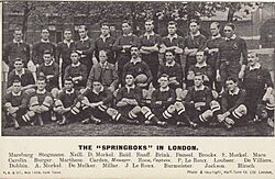 Archivo:Springboks 1906 team