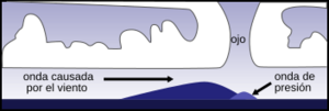 Archivo:Storm surge graphic-es