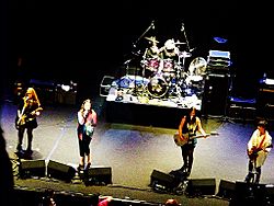 The Go Gos in 2012.jpg