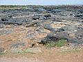 The Niger riverbed in the dry season
