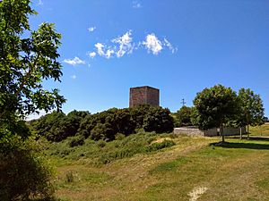 Archivo:Torre medieval de San Martín de Hoyos - Panorámica