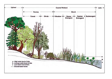 Archivo:USGS image cropped