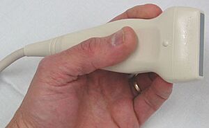 Archivo:UltrasoundProbe2006a