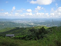 Vista del area de Caguas desde el cerro las piñas - panoramio.jpg