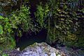 Waitomo Cave Entrance n