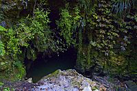 Archivo:Waitomo Cave Entrance n