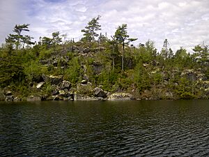 Archivo:Western shoreline of Sparrow Lake, White Lake Wilderness Area