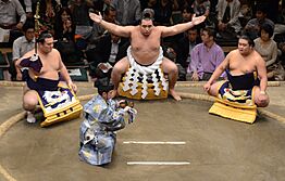 Archivo:Yokozuna-dohyō-iri-Kakuryu-Rikisaburo-at-Aki-basho-Sep-28-2014-cropped