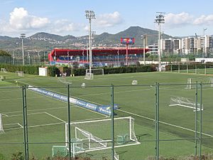 Archivo:008 Ciutat Esportiva Joan Gamper (Sant Joan Despí), camp de gespa i estadi Johan Cruyff