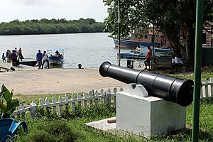 Archivo:18th century cannon on Pearl Lagoon municipal wharf