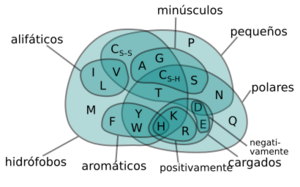 Archivo:Amino Acids Venn Diagram (es)