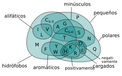 Amino Acids Venn Diagram (es).svg