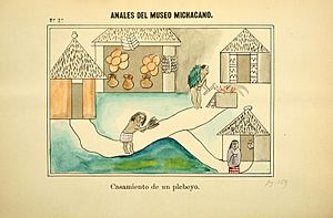 Archivo:Anales del Museo Michoacano BHL40443893