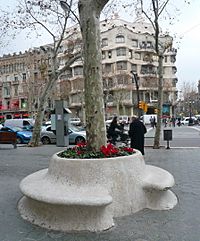 Archivo:Bancs-escocell del Passeig de Gràcia