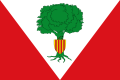 Bandera de Santed.svg