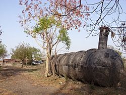 Archivo:Bhopal Plant 7