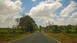 Carretera PR-455, Camuy, Puerto Rico (1).jpg