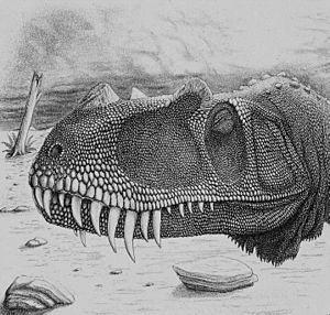 Archivo:Ceratosaurus juvenile face