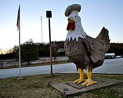 Chicken in Elkton, Tennessee.jpg