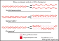 DNAreplicationModes