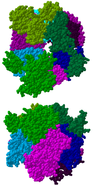 Archivo:Exosome crystal structure