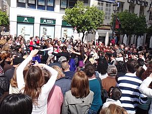 Archivo:Flamenco FlashMob-Jerez-MIN-DSC02936