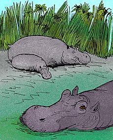 Archivo:Hippopotamus gorgops e