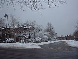 Archivo:Ile-des-Soeurs Paisaje invernal