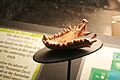 Jenolan Caves Tasmanian Devil jaw