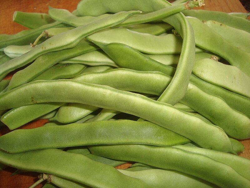 Judías verdes (Phaseolus vulgaris)
