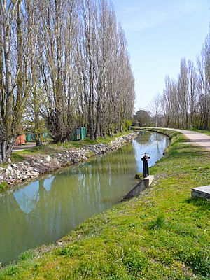 Archivo:Laguna de Duero - Canal del Duero 3