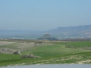 Archivo:Las Plassas castle