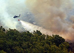 Archivo:MH-60S Helicopter dumps water onto Fire