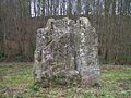 Menhir de Pierrelaye1