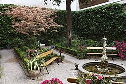 Archivo:Museo del Romanticismo - Jardin - Jardín