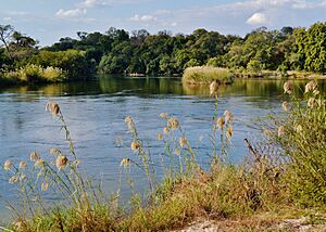 Archivo:Namibia Okavango 3