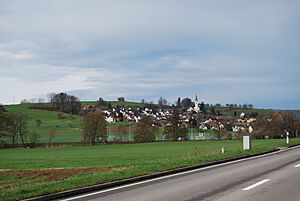 Archivo:Niederweningen 092