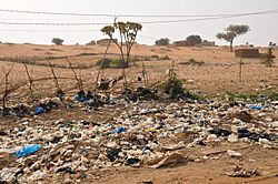 Archivo:Niger, Karey Gorou, (7) waste disposal
