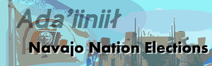 Archivo:Nnelections infobox banner