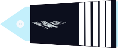 OF5-COL Rank French Air Gendarmerie