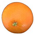 Orange-fruit-2