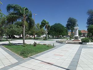 Archivo:Plaza San Martín en Charata